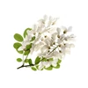 BASSAU natürliches ätherisches Öl Akazienblüten 200 ml