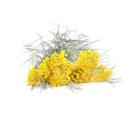 ÄTHERISCHE ÖLE AUS BASSAU-BLÜTEN