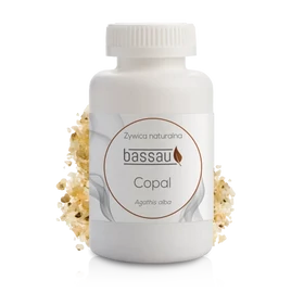 BASSAU Premium-Qualität Natürlicher Weihrauch, Copalharz, 50 g