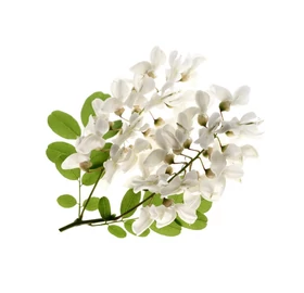 BASSAU natürliches ätherisches Öl Akazienblüten 200 ml