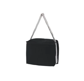 ICEMAN Kühltasche Luxus, 20 L, schwarz, mit Premium Ice Akku
