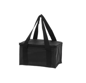 ICEMAN Kühltasche Mini, 3 L, schwarz
