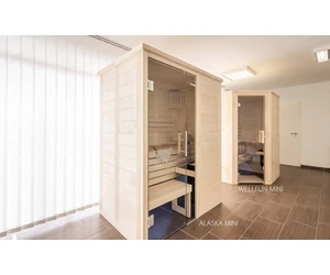 HARVIA Finnsauna Alaska Mini mit Saunaofen & Steuerung 160 x 110 cm