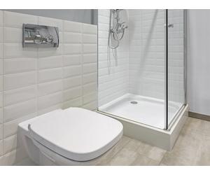 SAUNA KING Glas-Eckdusche (100x100cm H:200cm) in 4 Glasfarben