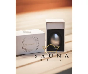 Klangei eyvo Vibrationsplayer, Platin, inkl. Musik-Kreation „Magnetic connection”