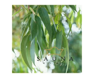 BASSAU Premium-Qualität ätherisches Saunaöl, Zitronen-Eukalyptus, 15 ml