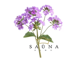 BASSAU Premium-Qualität ätherisches Saunaöl, Wilde Eisenkraut, 15 ml