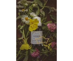 BASSAU Premium-Qualität ätherisches Saunaöl, Eisenkraut, 15 ml
