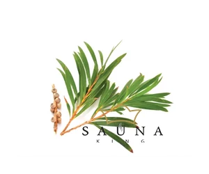 BASSAU Premium-Qualität ätherisches Saunaöl, Teebaum, 15 ml