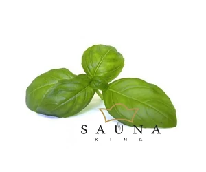 BASSAU Premium-Qualität ätherisches Saunaöl, Basilikum, 15 ml