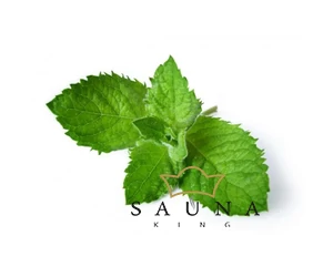 BASSAU Premium-Qualität ätherisches Saunaöl, Pfefferminze, 15 ml