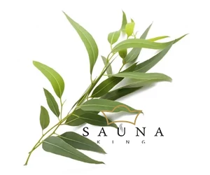 BASSAU Premium-Qualität ätherisches Saunaöl, Eukalyptus radiata, 15 ml