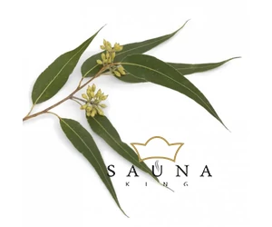 BASSAU Premium-Qualität ätherisches Saunaöl, Eukalyptus-Tauchgänge, 15 ml