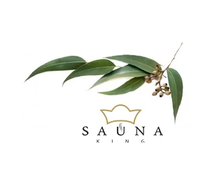 BASSAU Premium-Qualität ätherisches Saunaöl, Eukalyptus, 15 ml