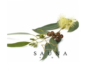 BASSAU Premium-Qualität ätherisches Saunaöl, Eukalyptus Smithii, 15 ml