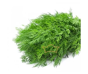 BASSAU Premium-Qualität ätherisches Saunaöl, Dill, 15 ml