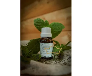 BASSAU Premium-Qualität ätherisches Saunaöl, Feldminze, 15 ml