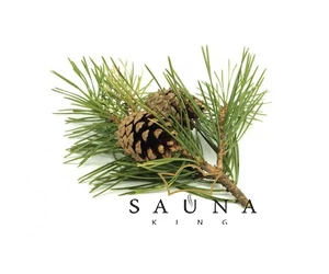 BASSAU Premium-Qualität ätherisches Saunaöl, Waldkiefer, 15 ml