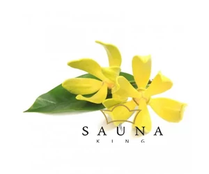 BASSAU Premium-Qualität ätherisches Saunaöl, Ylang Ylang, 15 ml
