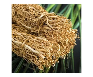 BASSAU Premium-Qualität ätherisches Saunaöl, Vetiver, 15 ml