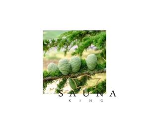 BASSAU Premium-Qualität ätherisches Saunaöl, Atlaszeder, 15 ml