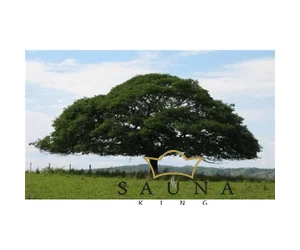 BASSAU Premium-Qualität ätherisches Saunaöl, Copaiba, 15 ml
