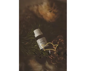 BASSAU Premium-Qualität ätherisches Saunaöl, Himalaya-Zeder, 15 ml