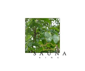 BASSAU Premium-Qualität ätherisches Saunaöl, Elemi, 15 ml