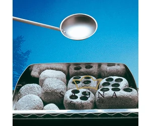 Dampsteine aus Speckstein für Aromaverdampfer (2-er Set)