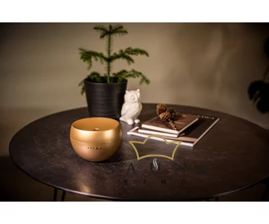 Jasmine Ultraschall-Luxus-Aroma-Diffusor, Gold