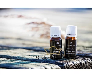 EMENDO Saunaduft Anis & Rauchiges Kraut 2x10ml