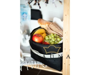ICEMAN Kühltasche Luxus, 20 L, schwarz, mit Premium Ice Akku