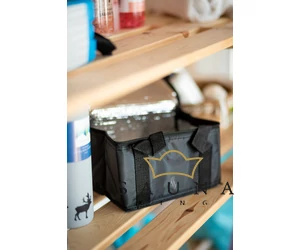 ICEMAN Kühltasche Mini, 3 L, schwarz