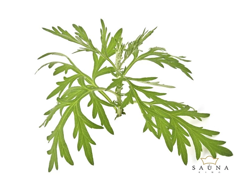 BASSAU natürliches ätherisches Öl Waldmeister 200 ml