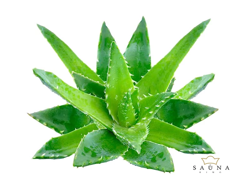 BASSAU natürliches ätherisches Öl Aloe Vera 200 ml