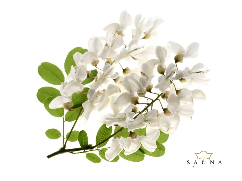 BASSAU natürliches ätherisches Öl Akazienblüten 200 ml