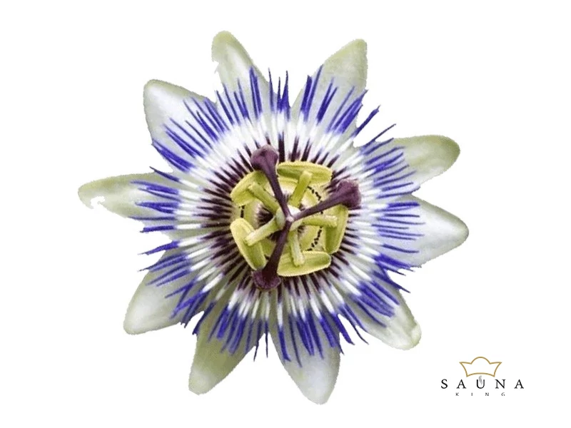 BASSAU natürliches ätherisches Öl Passionsblume 200 ml