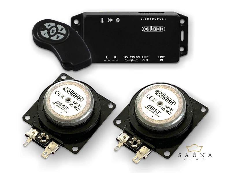 Collaxx bluetooth Musikplayer & 2 Stk Festkörperlautsprecher für Saunen